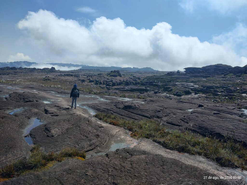 Monte Roraima: 10 Coisas que Você Precisa Saber Antes de Visitar